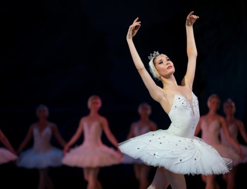 Die kleine Meerjungfrau Ballett: Tickets, Preise, Adresse und Öffnungszeiten